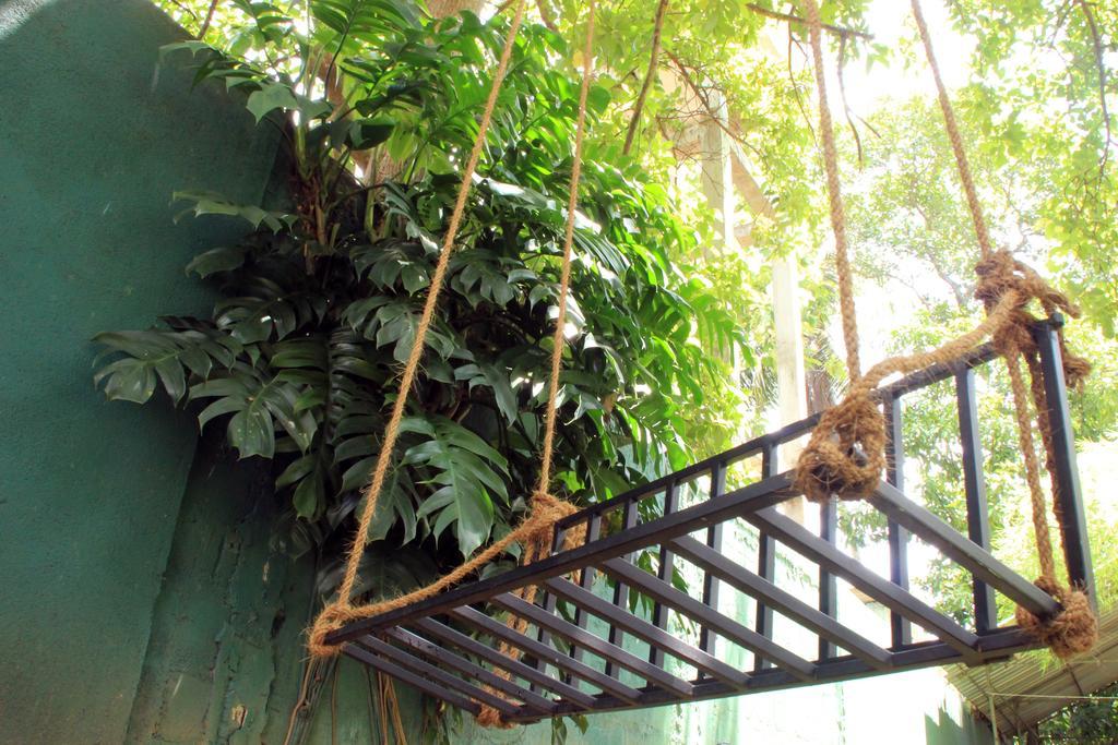 Flipflop Hostel Negombo Dış mekan fotoğraf