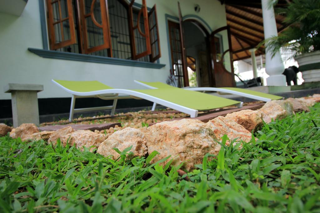 Flipflop Hostel Negombo Dış mekan fotoğraf